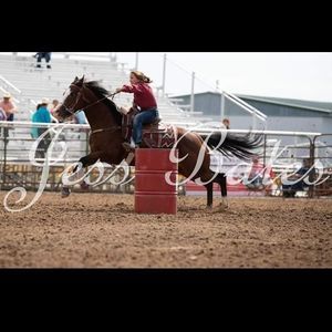 Meet your Posher, Taylor